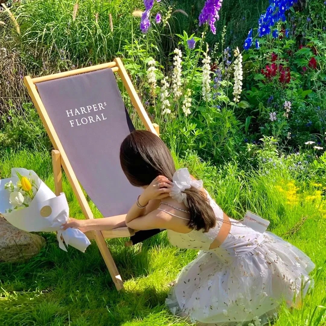 正义联盟与红白黑黄:超级英雄和猎人(上)